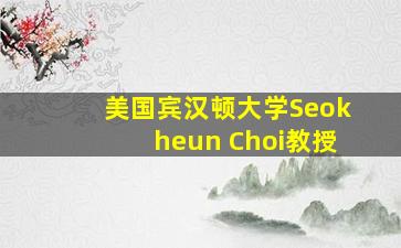 美国宾汉顿大学Seokheun Choi教授